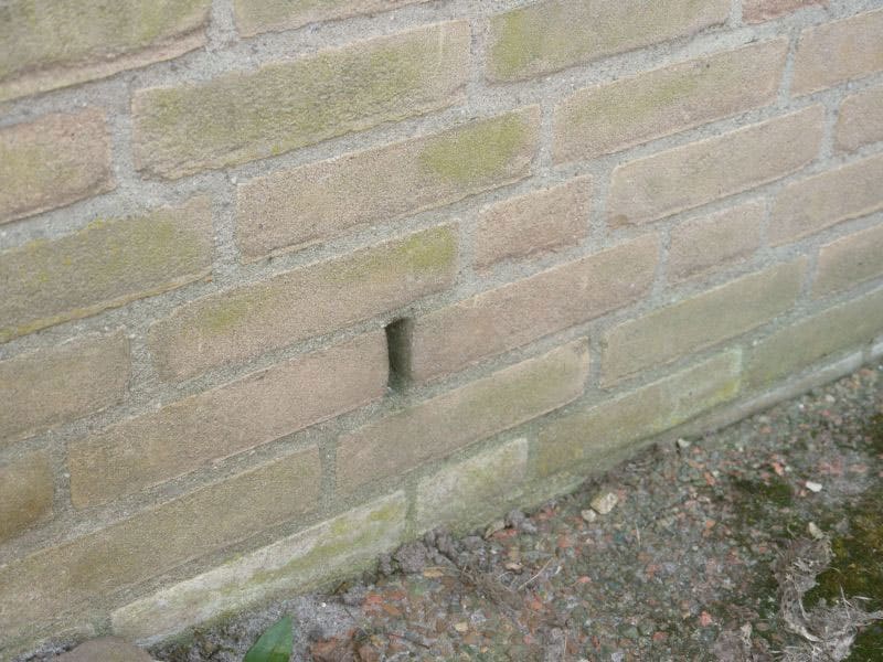 seal weep holes with steal wire to stop rats and mice