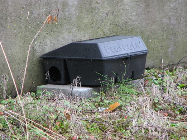 rat bait boxes