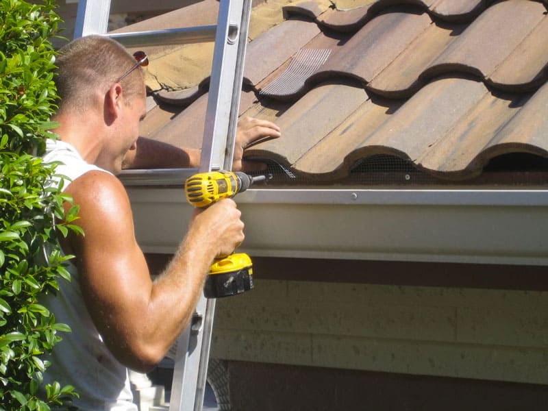 sealing your roof tiles to stop rats and rodents