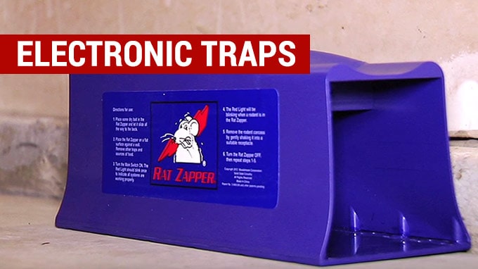 the best electronic rat traps to buy