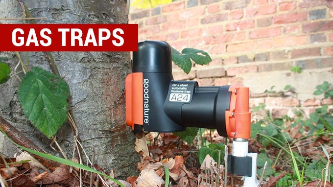 best gas rat traps