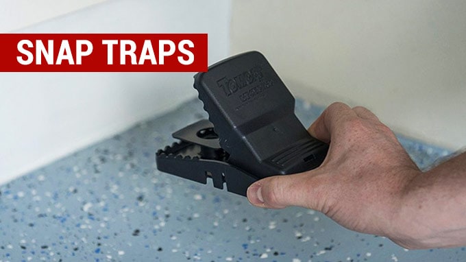 best snap rat traps to buy