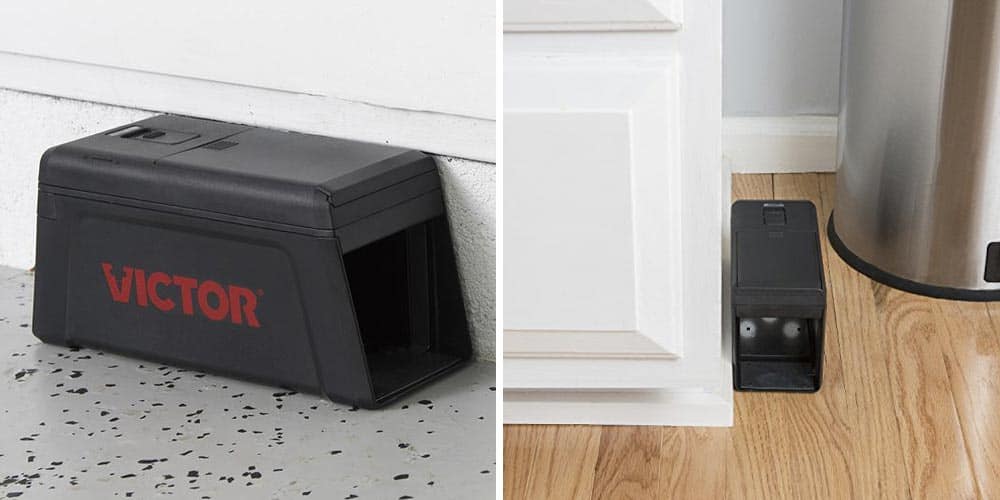 Victor electronic rat trap - best for the squeamish