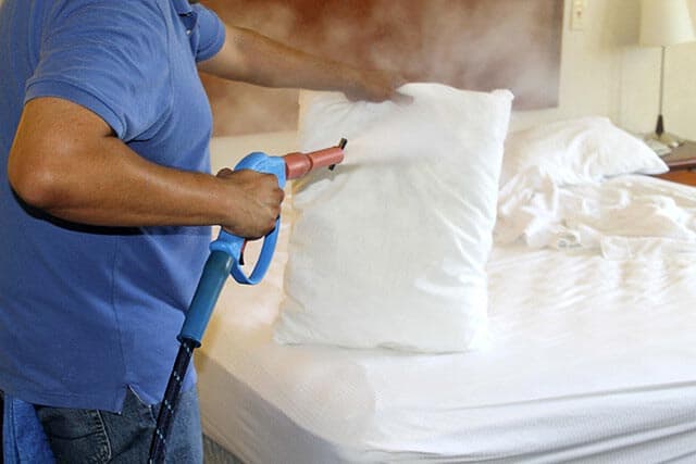 steaming bed bugs