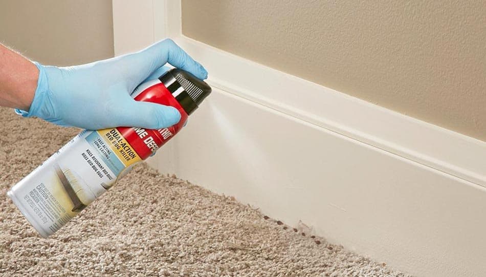 what is the best bed bug killer spray