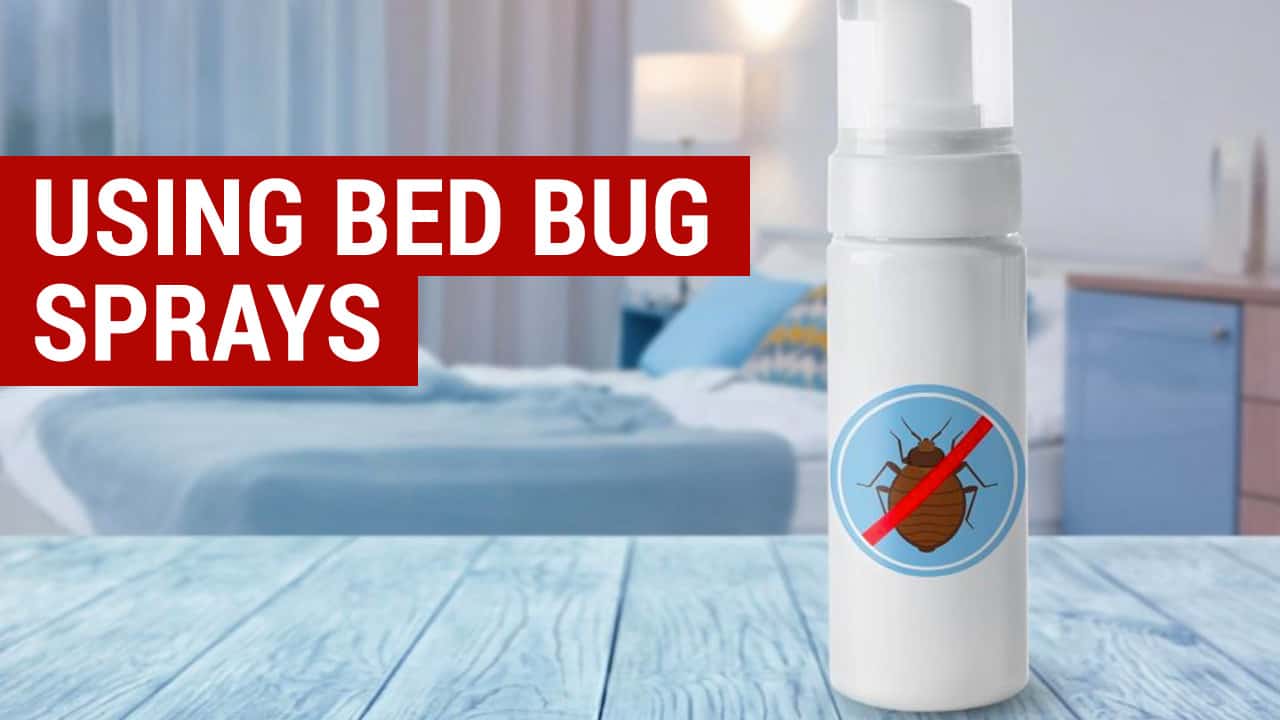 bed bug sprays
