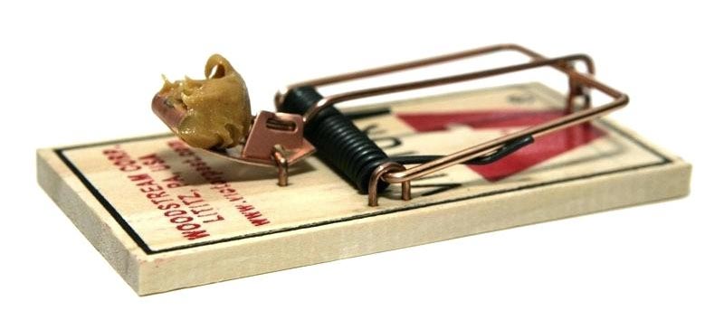 peanut butter - best mouse trap bait