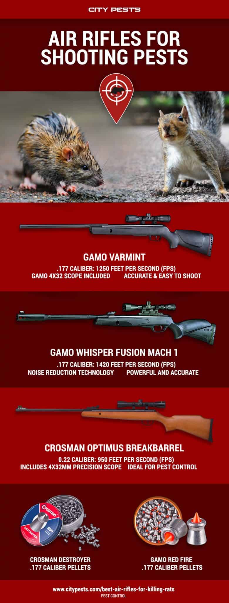 best air rifles for pest control infographic
