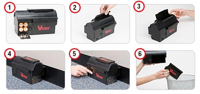 Best Victor Electronic Mouse Trap Reviews