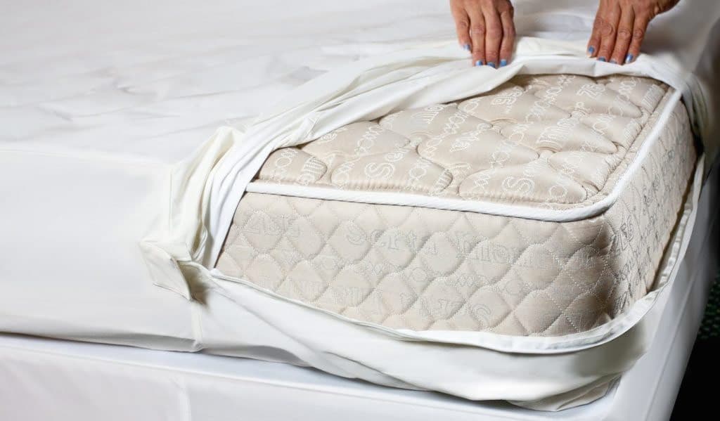 bed bug mattress encasement