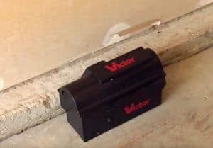 best places to put electric mouse traps