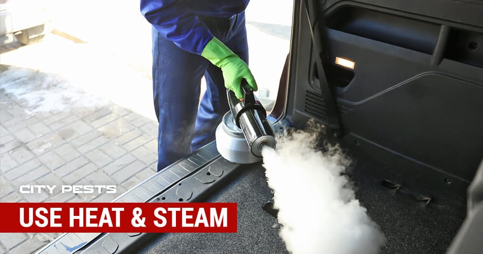 use heat and steam to kill bed bugs in cars