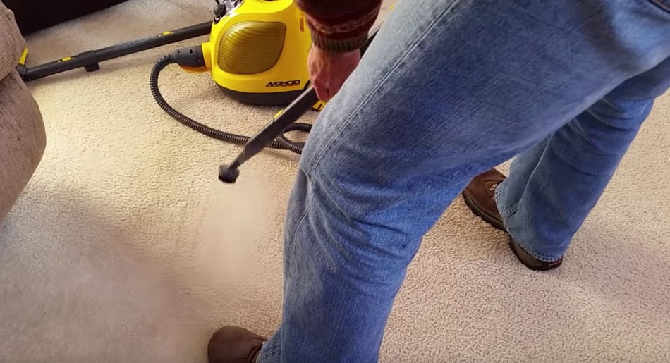 steam clean bed bugs in carpet