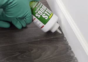 using diatomaceous earth to kill bed bugs