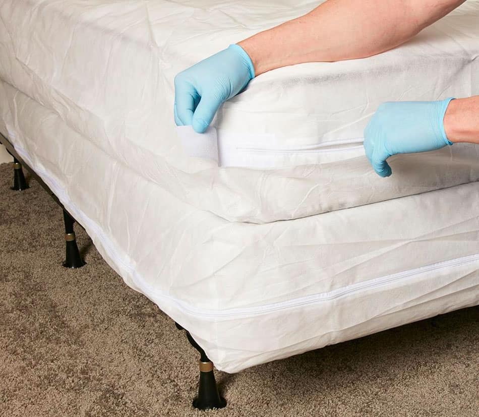 mattress encasements to kill bed bugs