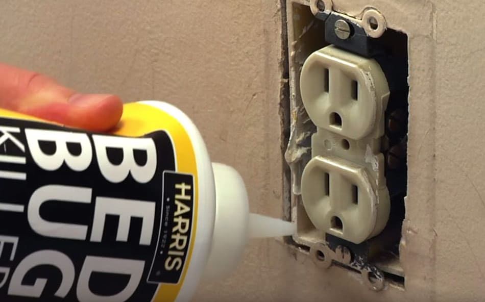 using Harris best bed bug killer powder