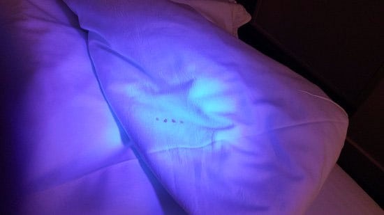 UV flashlight for bed bugs