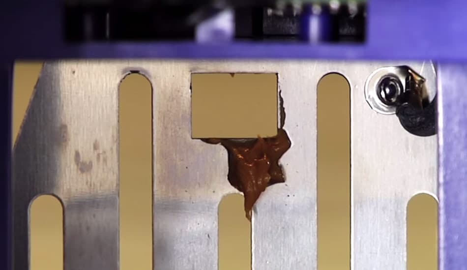 how to bait victor rat zapper