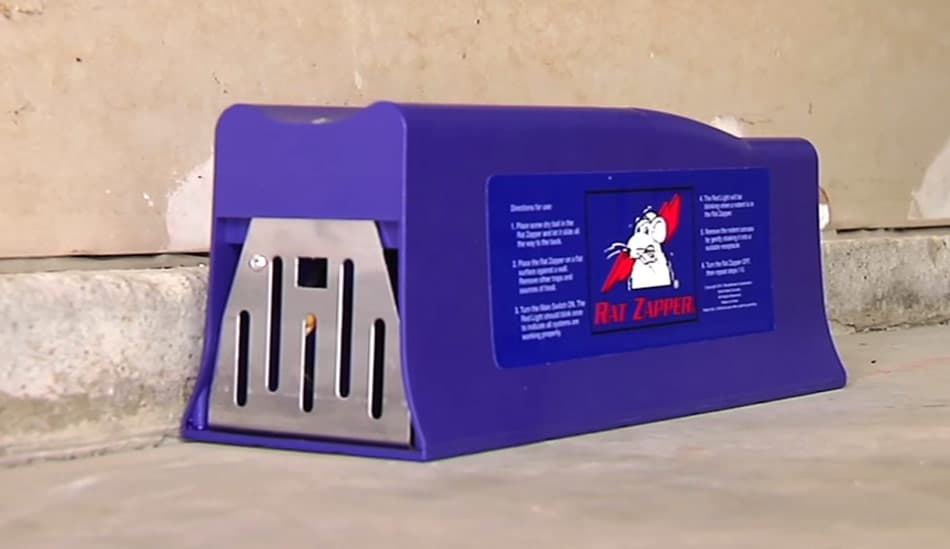 where to place victor rat zapper