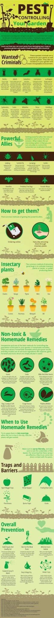 pest control for gardens inforgraphic