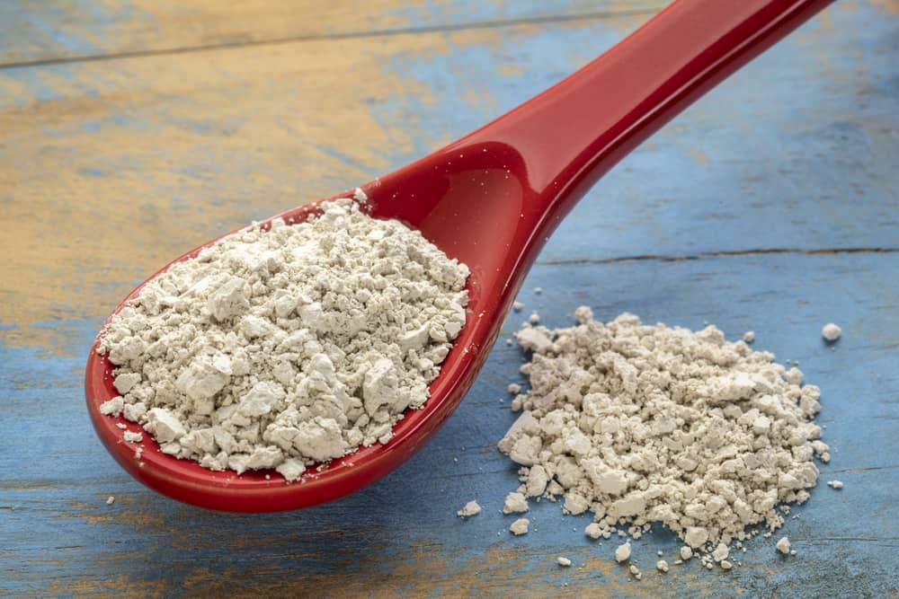 food grade diatomaceous earth supplement - stoneware teaspoon of powder