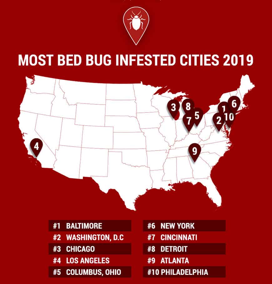 most bed bug infested cities 2019