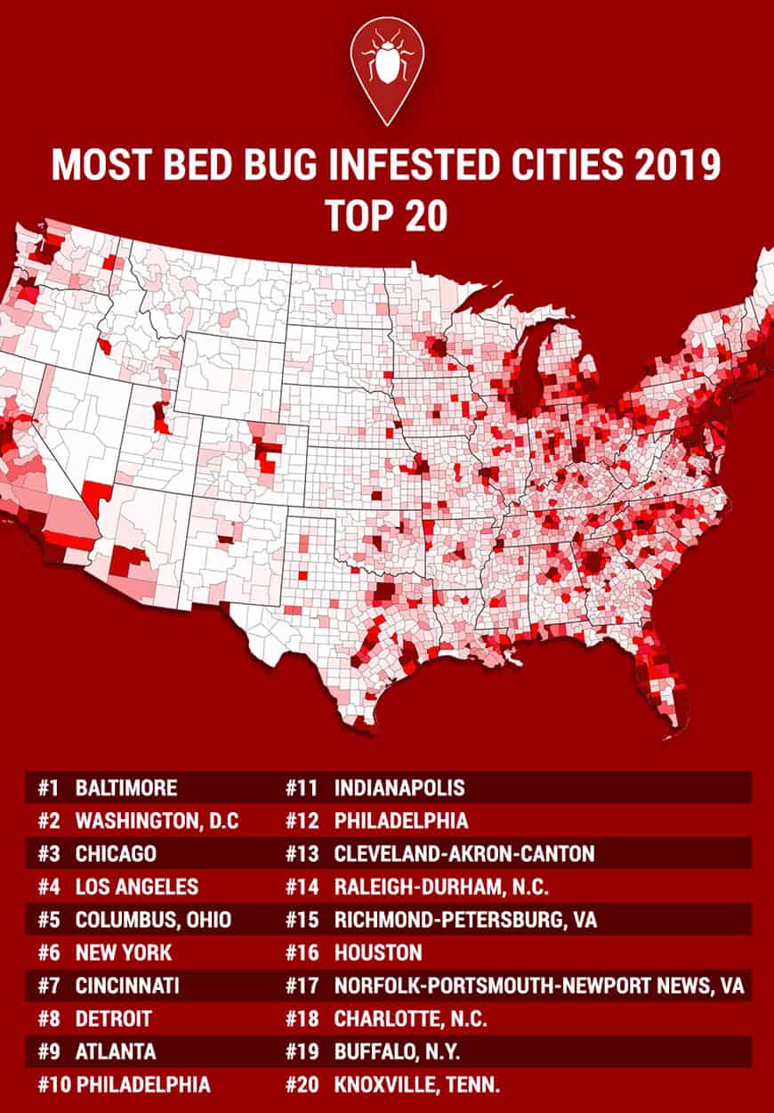 US cities which have the most bed bug infestations