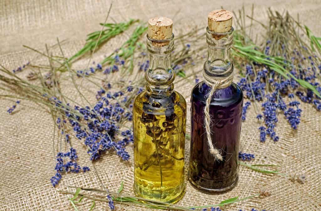 lavender and lavender oil