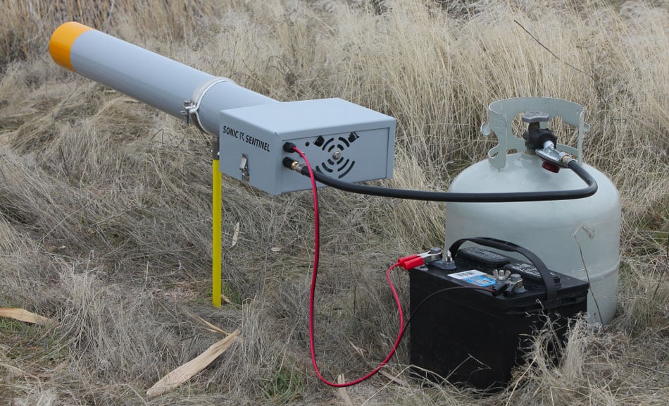 sonic sentinel bird propane cannon