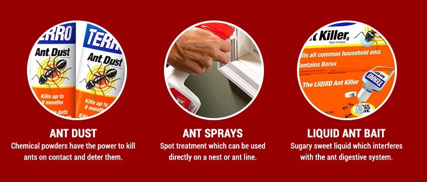 use ant sprays and powders