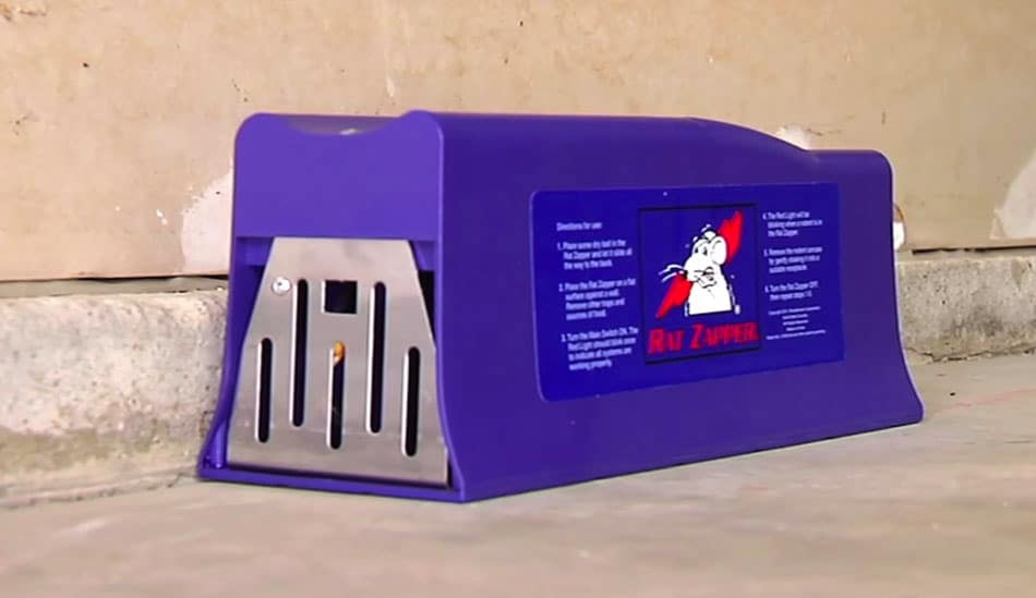 get rid of rats without using poison