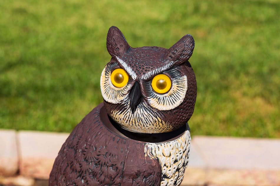 best owl decoys bird deterrents