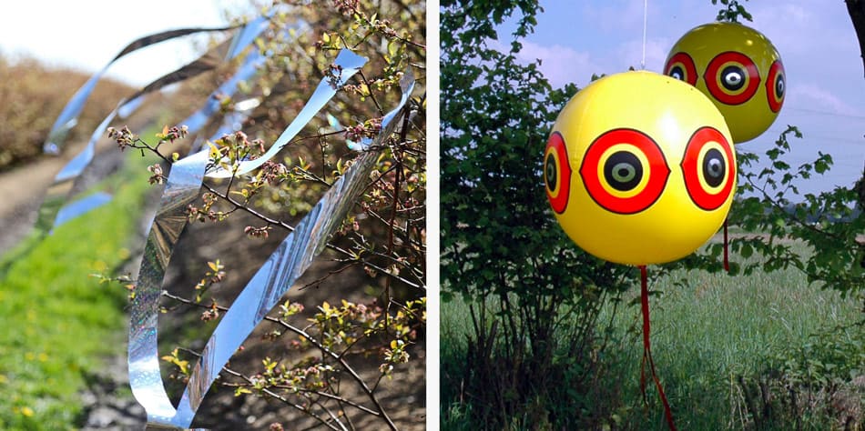 decoys to scare birds