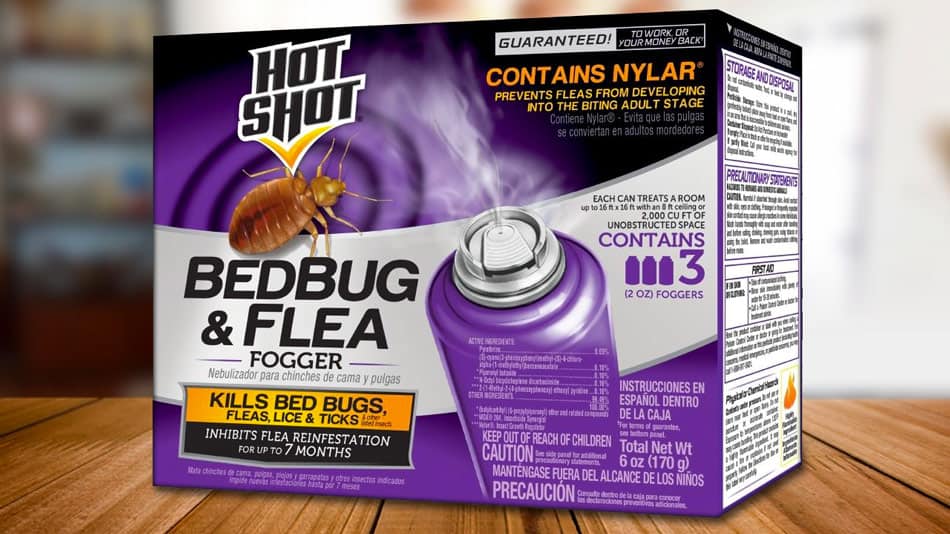 hot shot bed bug and flea killer fogger