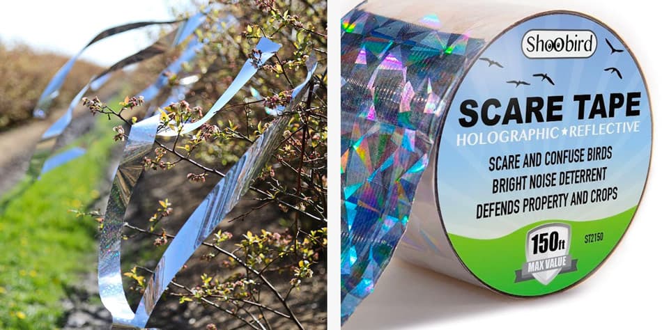 how to keep birds away from trees near your car