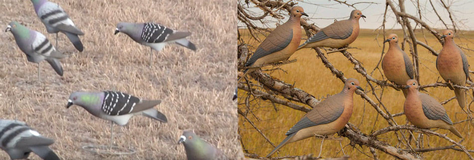 best pigeon and dove decoys available to buy