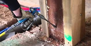 applying termite killer spray to wall