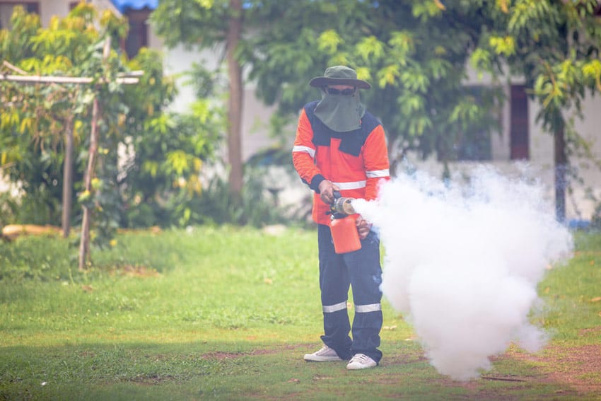 what do mosquito foggers do