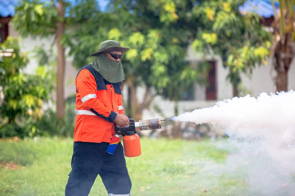 propane mosquito fogger