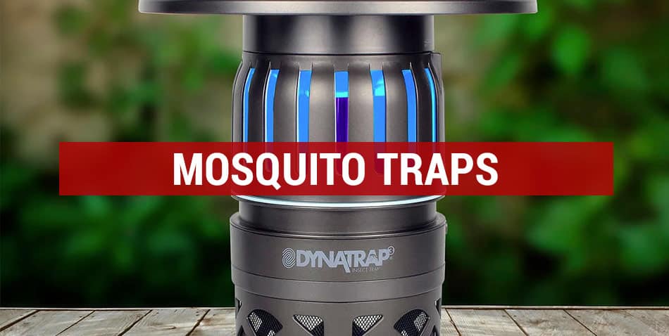 mosquito traps