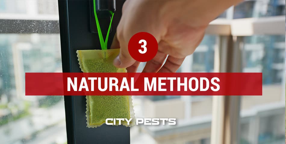 natural methods to get rid of mosquitoes