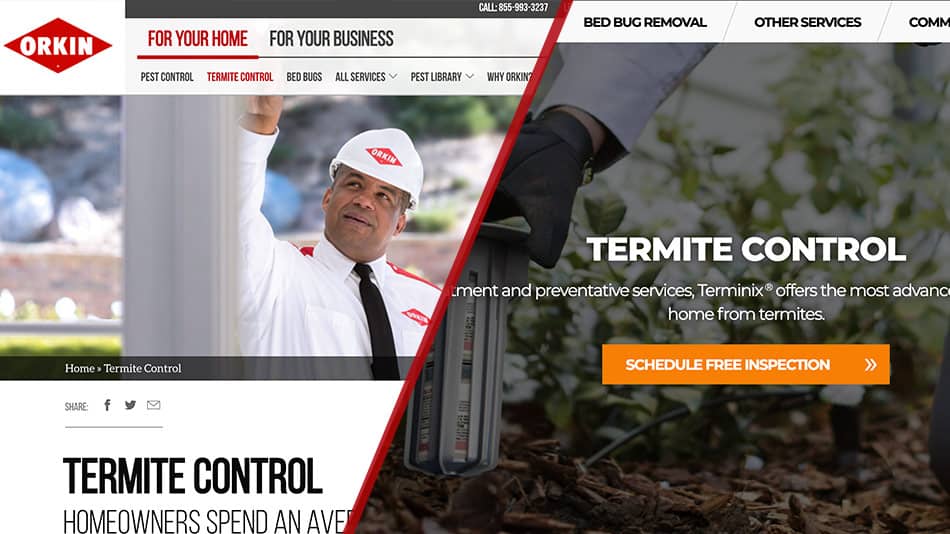 orkin vs terminix termite control