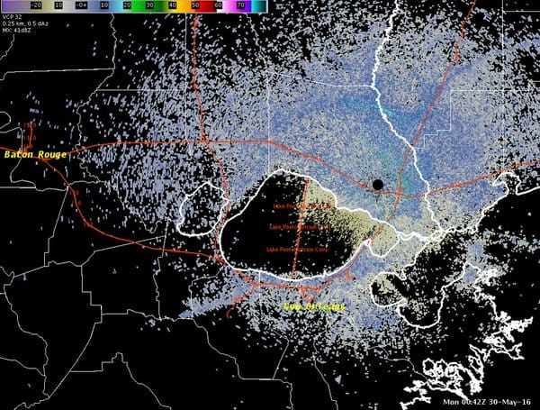 radar image showing termite swarms in new orleans