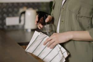 How to Get Rid of Sugar Ants in the House