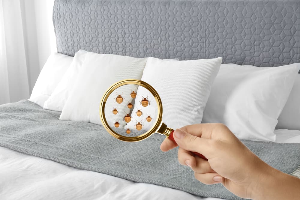 Bed with soft pillows at home