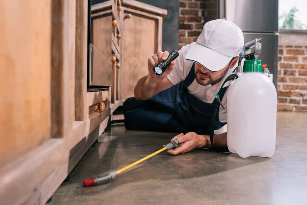 Pest control worker exterminator lying on the floor