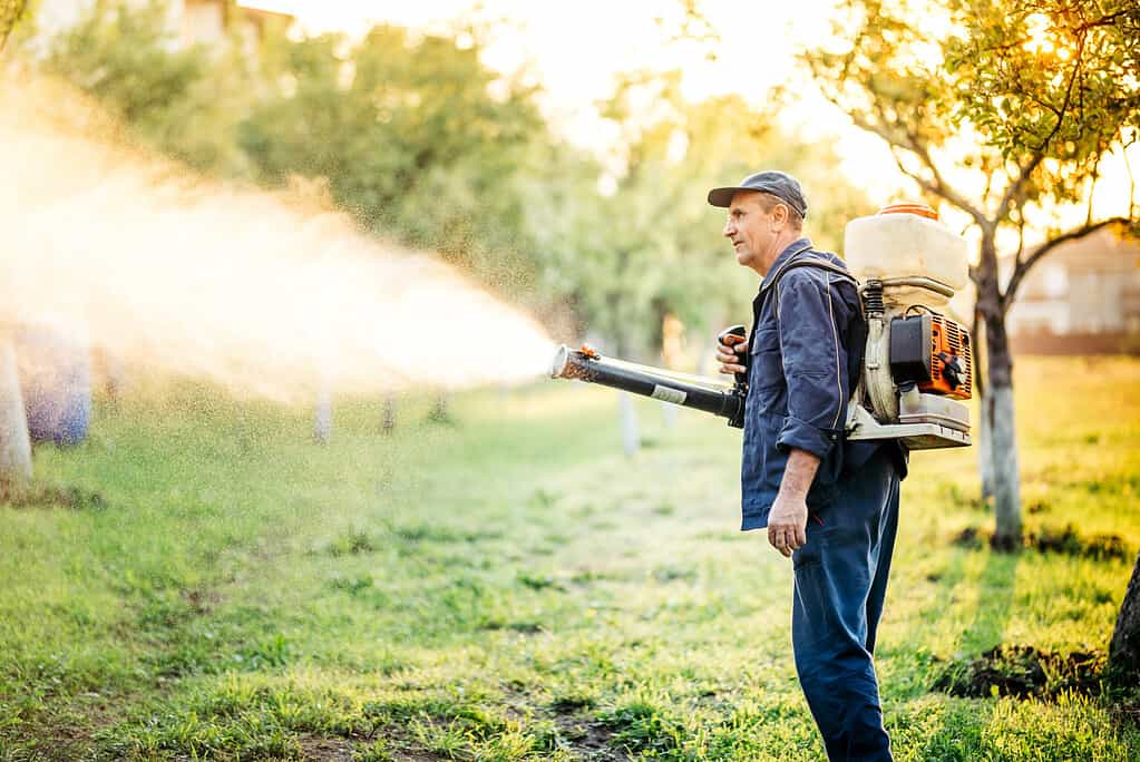 mosquito spraying