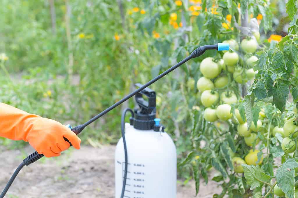 pressurized pesticide sprayer