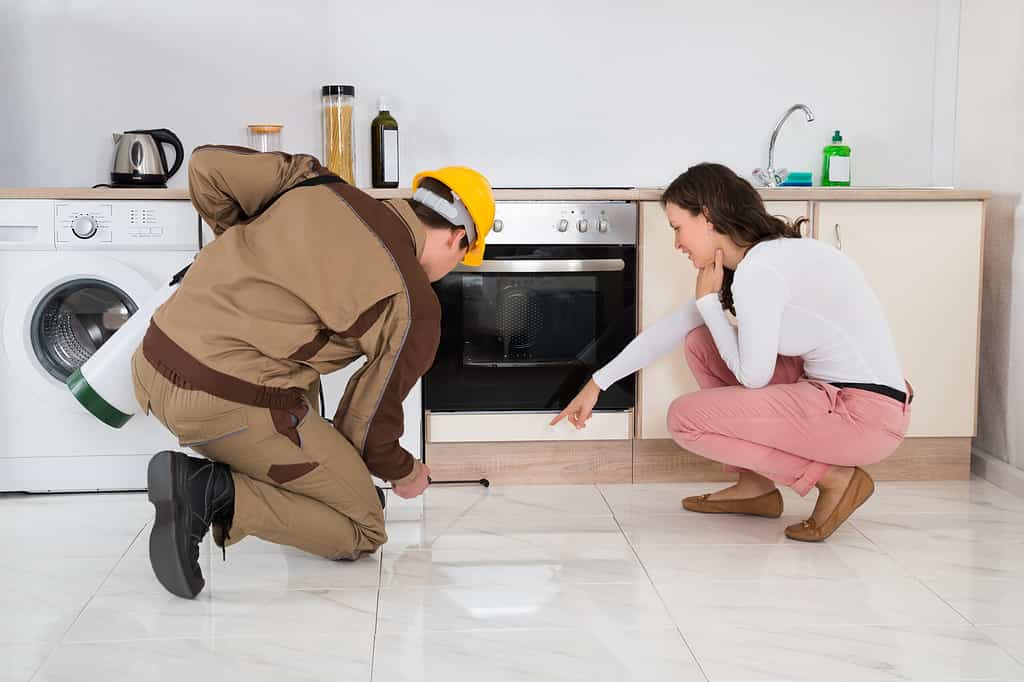 spraying for roaches