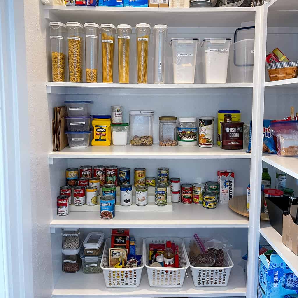 mealmoth in pantry\